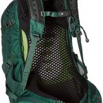 Osprey Manta AG 36 Spruce Green Back